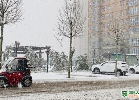 河南3月飄雪 蒜苗還好嗎？ ()